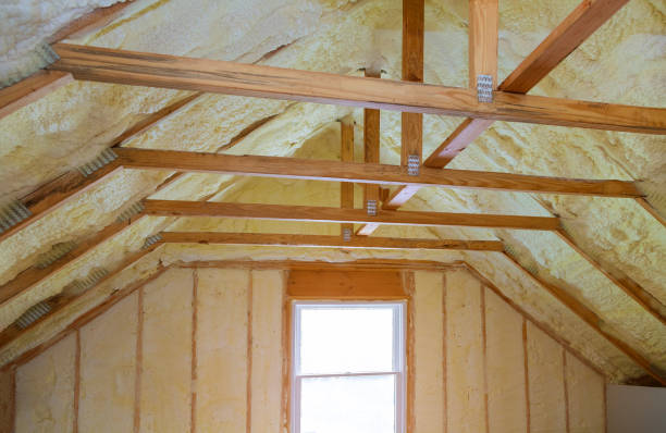 Best Commercial Insulation in Paloma Creek South, TX