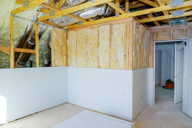 Best Eco-Friendly Insulation in Paloma Creek South, TX