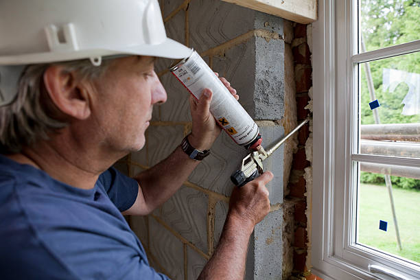 Best Spray Foam Insulation in Paloma Creek South, TX