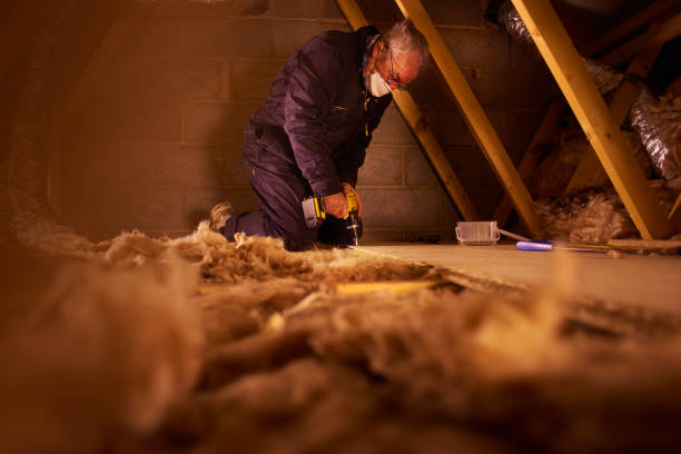 Best Insulation Maintenance and Repair in Paloma Creek South, TX
